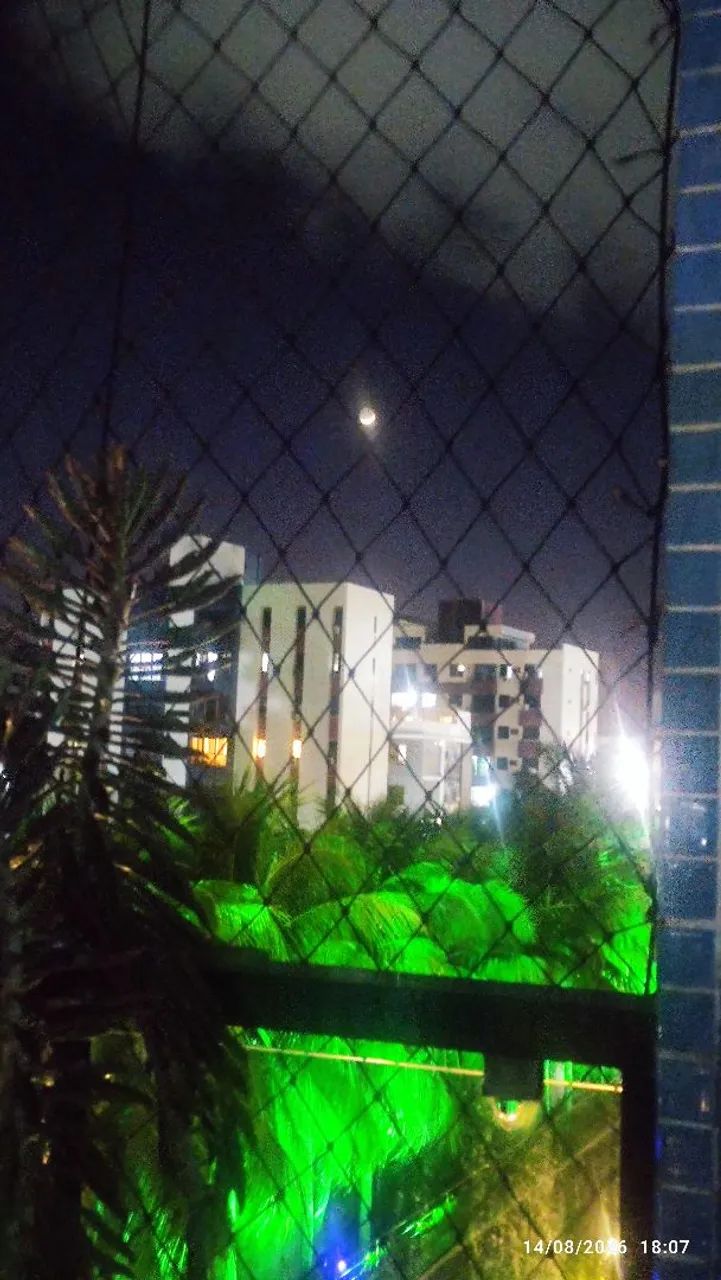 ?MELÃO - Foto 3