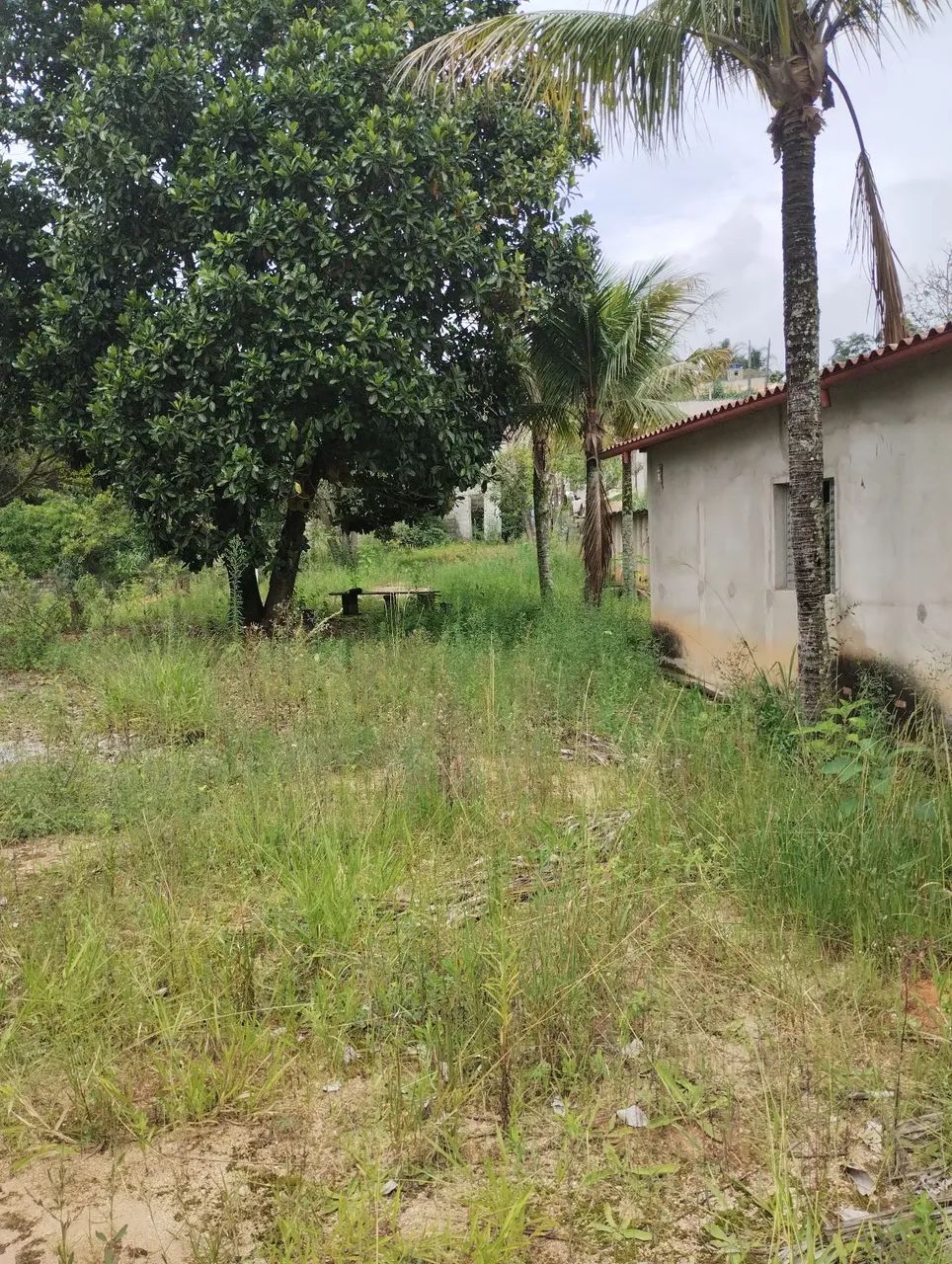 Foto - Mairiporã - Área Rural de Mairiporã