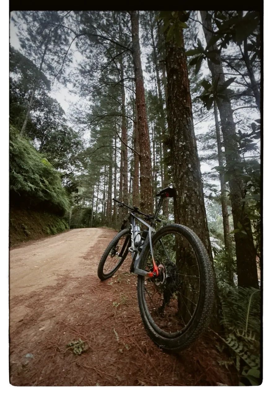Bike Oggi agile pro  - Foto 4