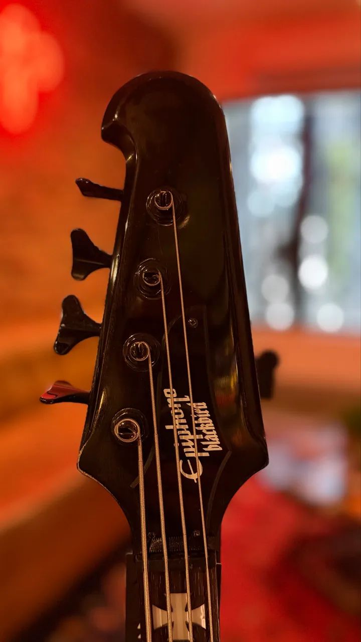 Thunderbird Nikki Sixx - Foto 3
