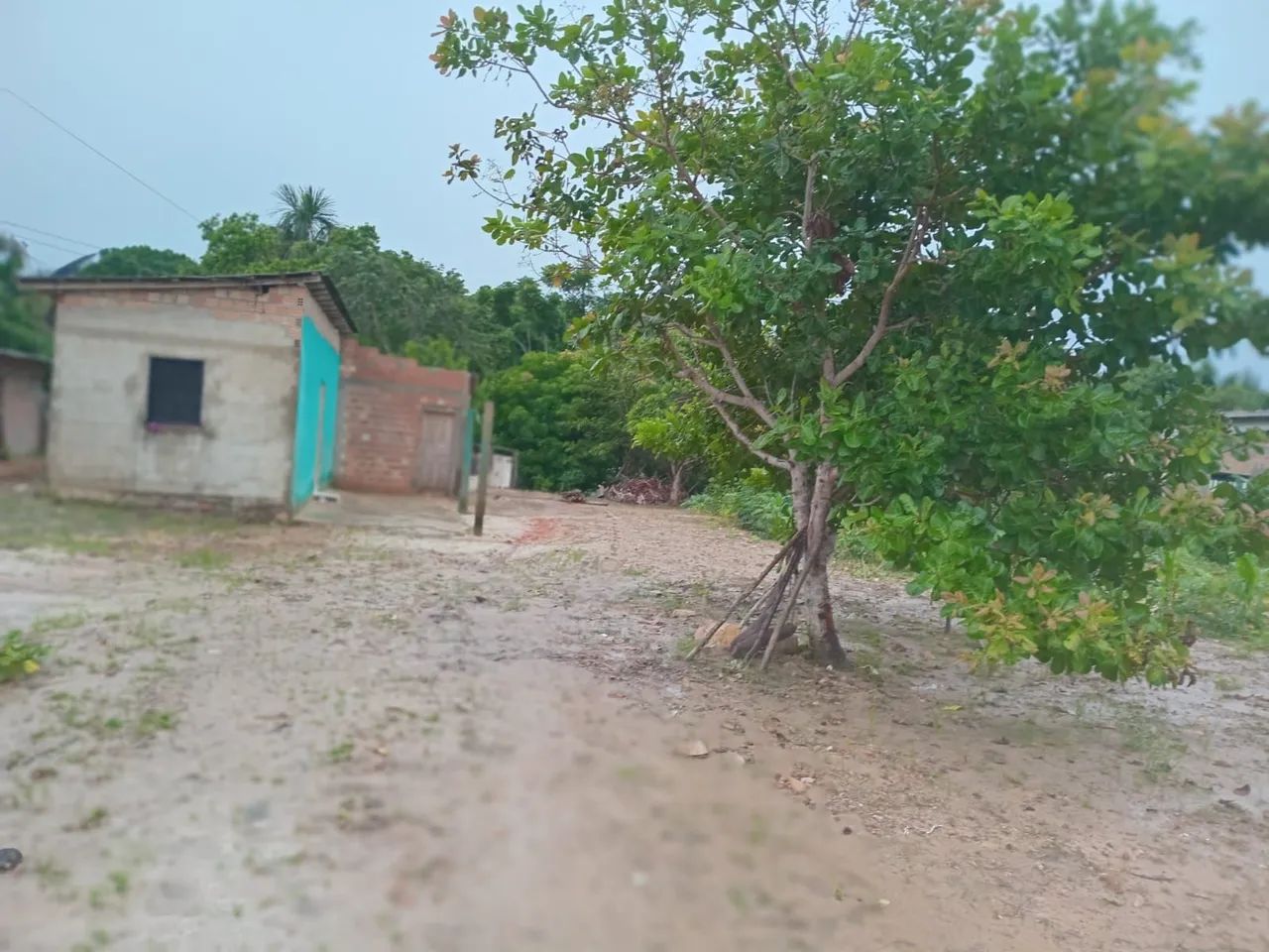 Amajari 