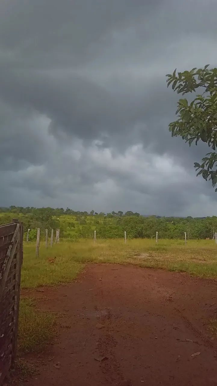Chácara 30 hectares 