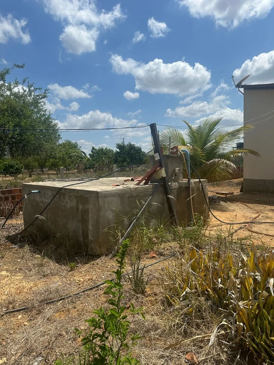 Chácara  - Foto 5