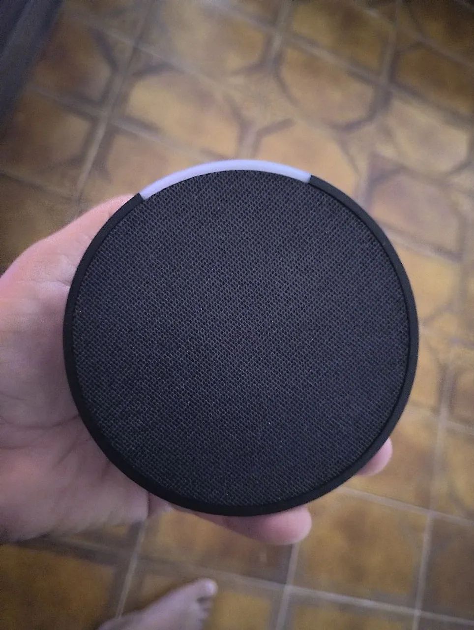 Alexa Echo Pop 