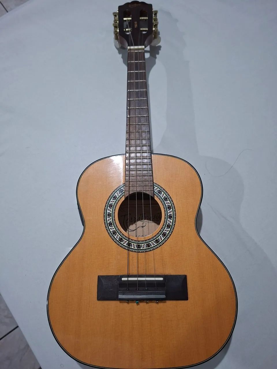 Cavaquinho Tgc01 Terra Brasil - Instrumentos musicais - Vila