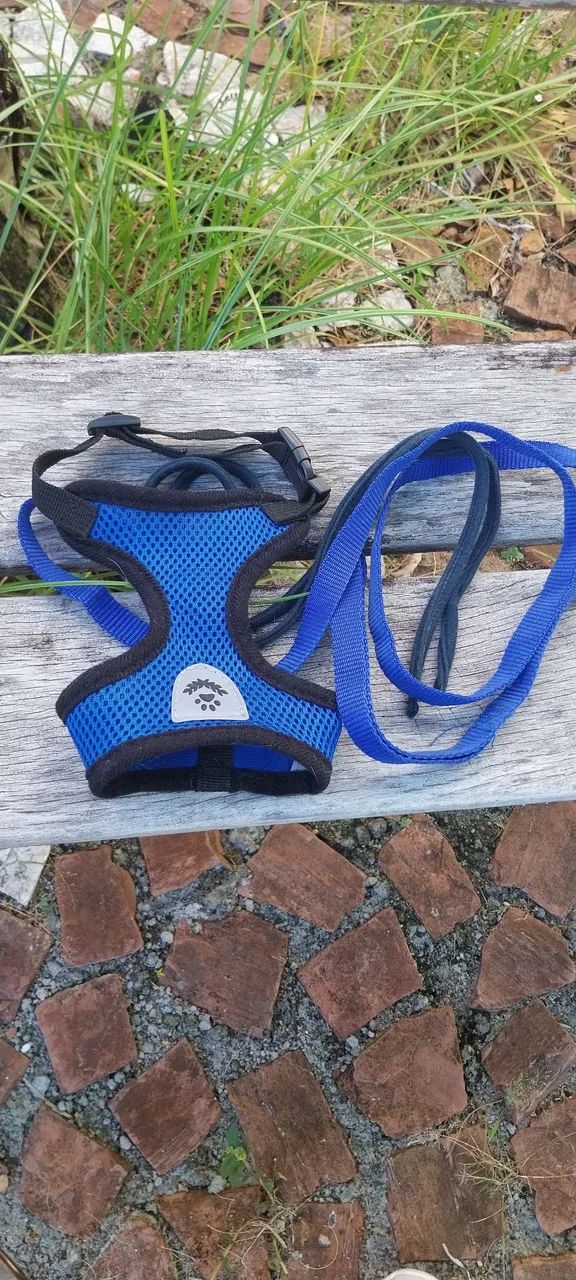 Mochila Transportadora para gatos e Coleiras - Foto 4