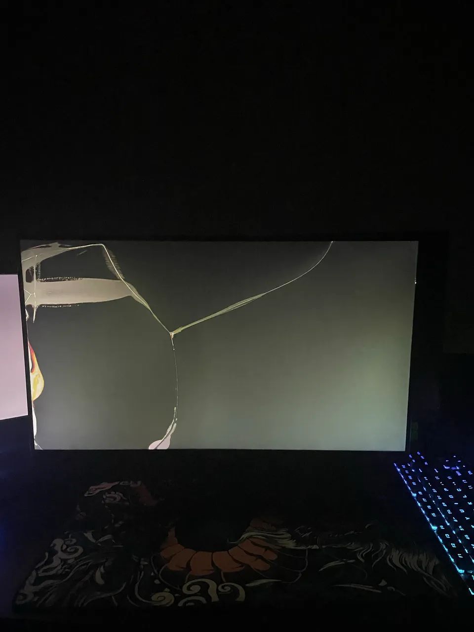 Monitor Riotoro
