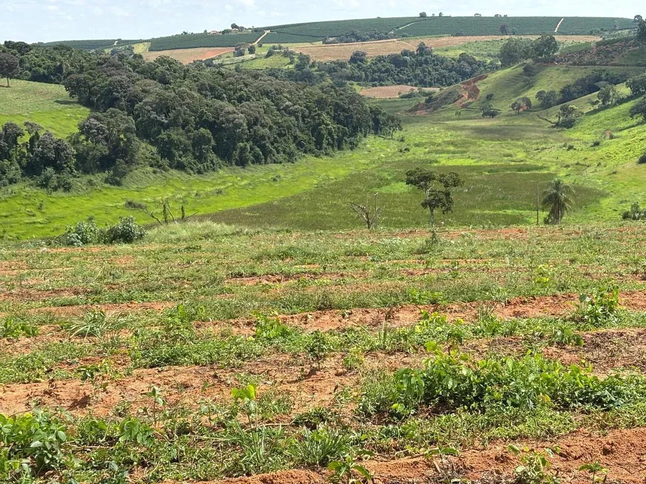 Fazenda Elói Mendes  MG - Foto 4