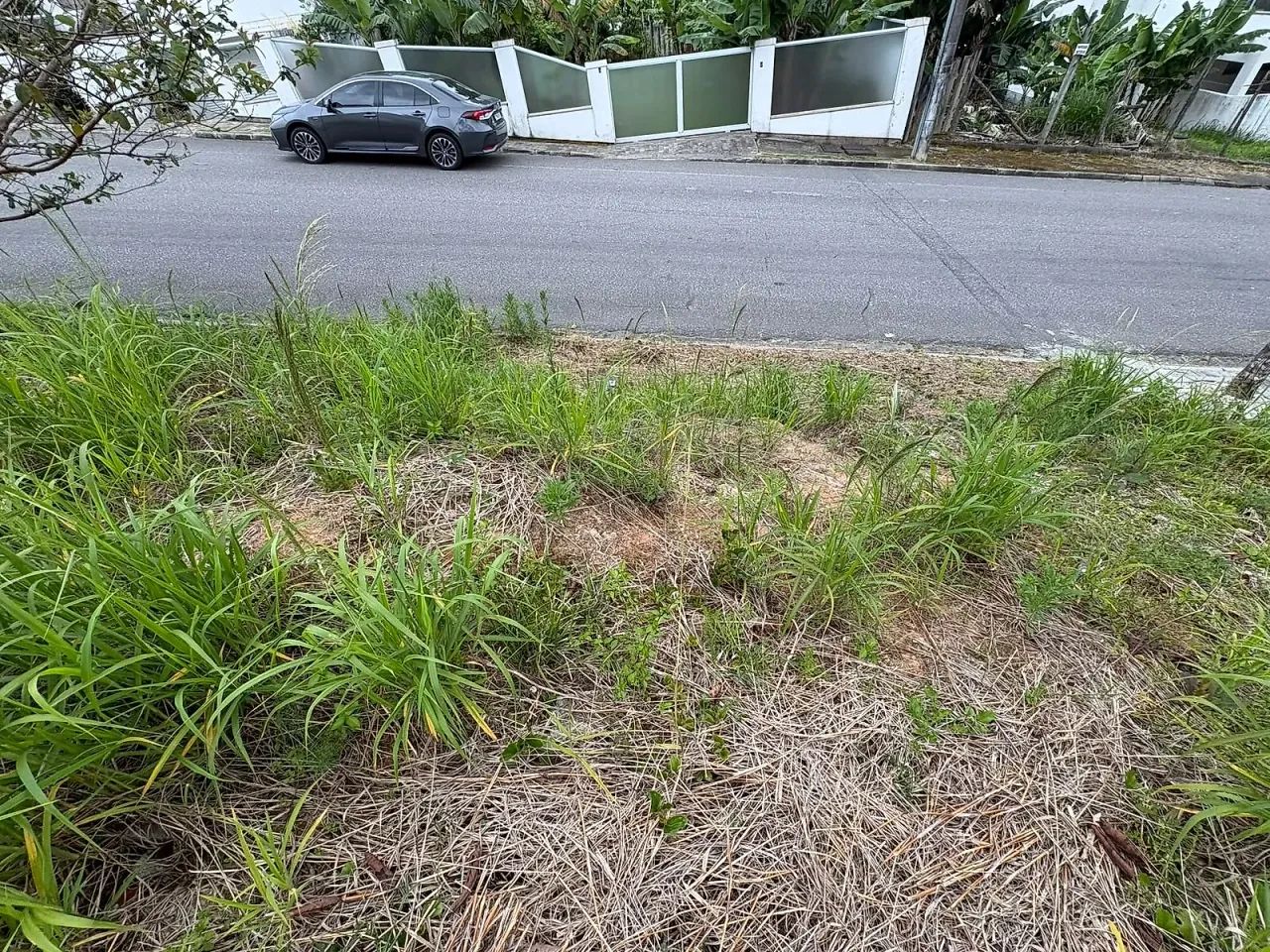 Terreno 161m² - Pedra Branca - Foto 4