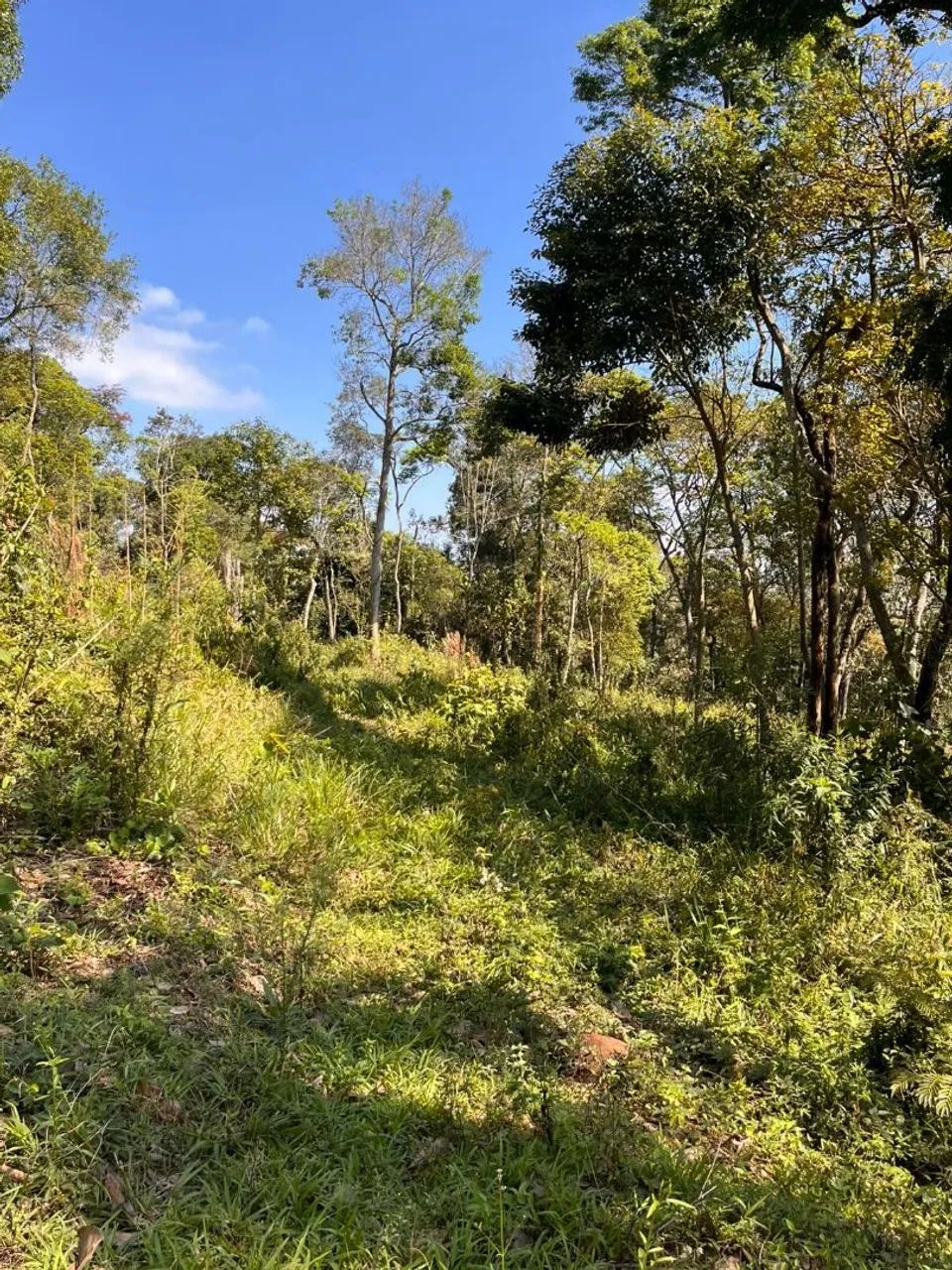Chacara em Franco da Rocha - Foto 2