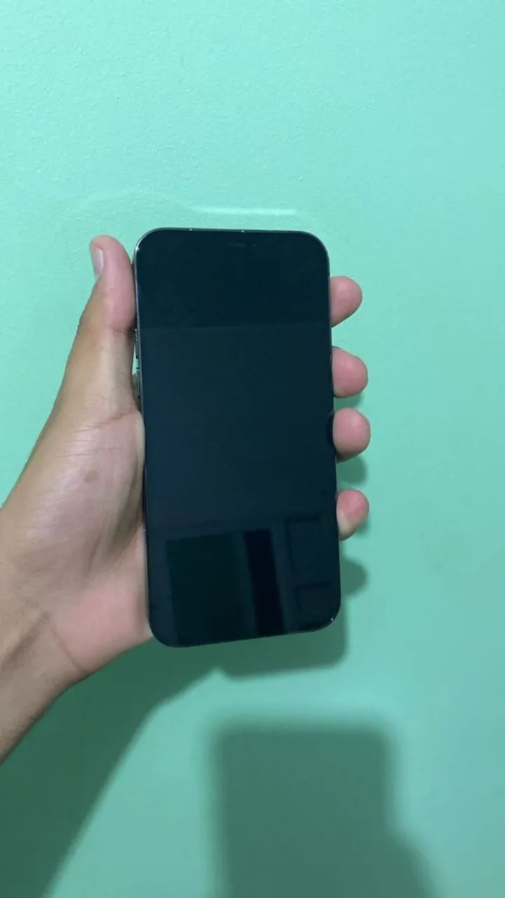 k*v様 iPhone12pro 256GB iPhone 12 Pro 256GB Prata com Tela 6.1