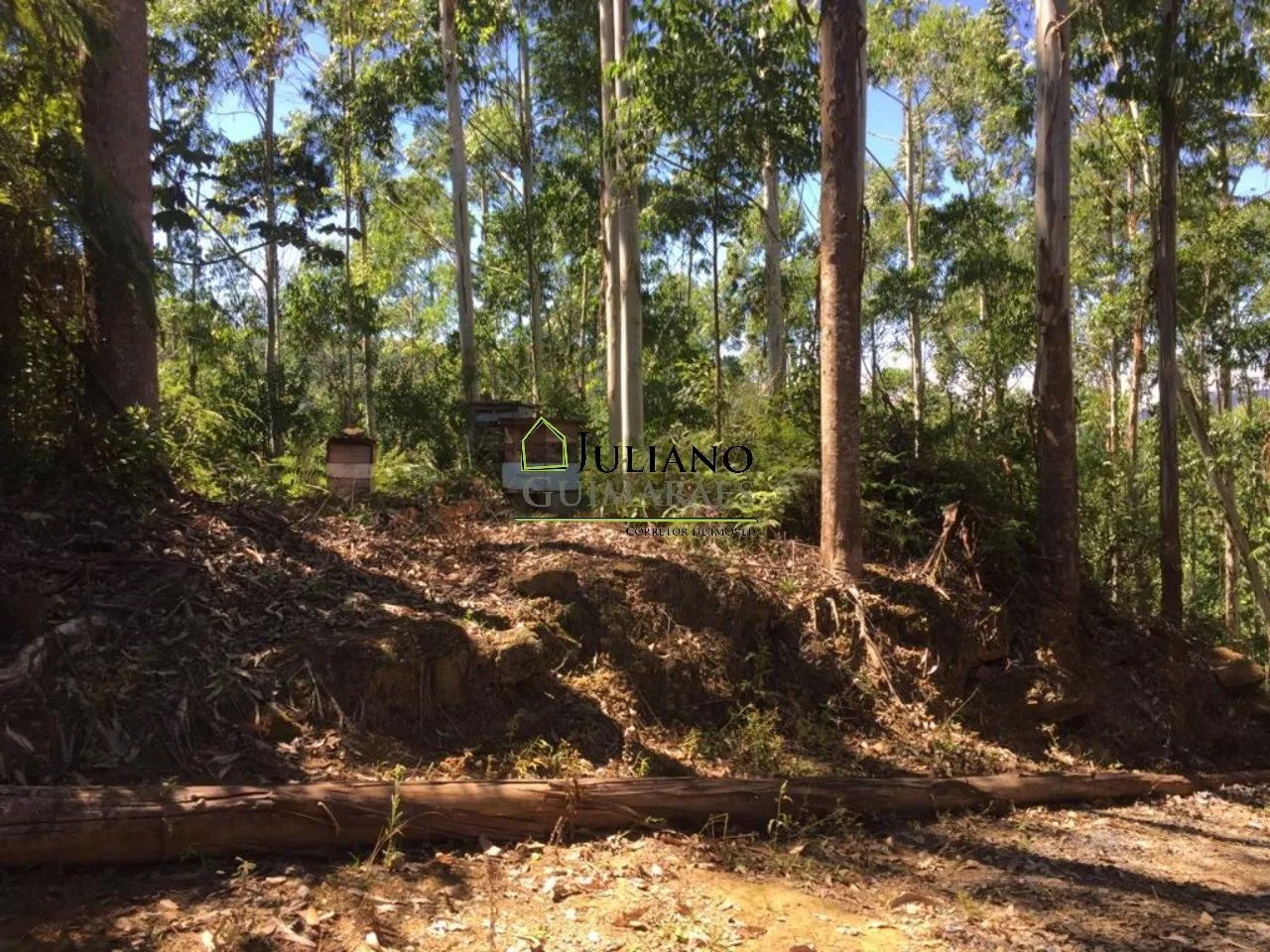 TERRENO À VENDA, em LEOBERTO LEAL - SC - Foto 3