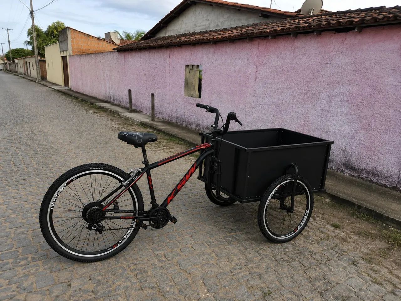 Bicicleta Cargo Triciclo 