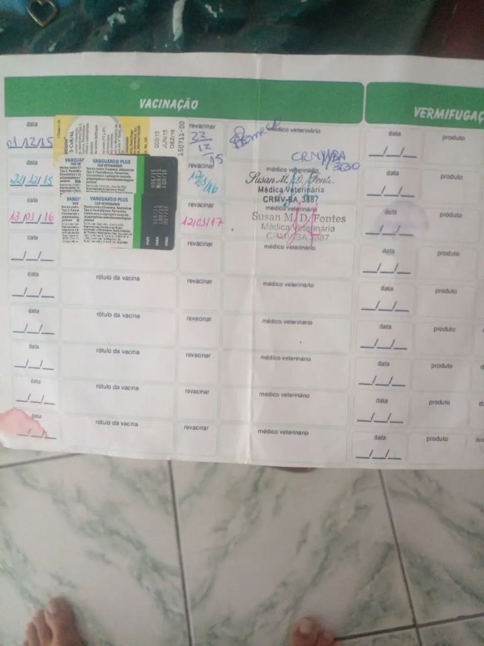 Doação  - Foto 4