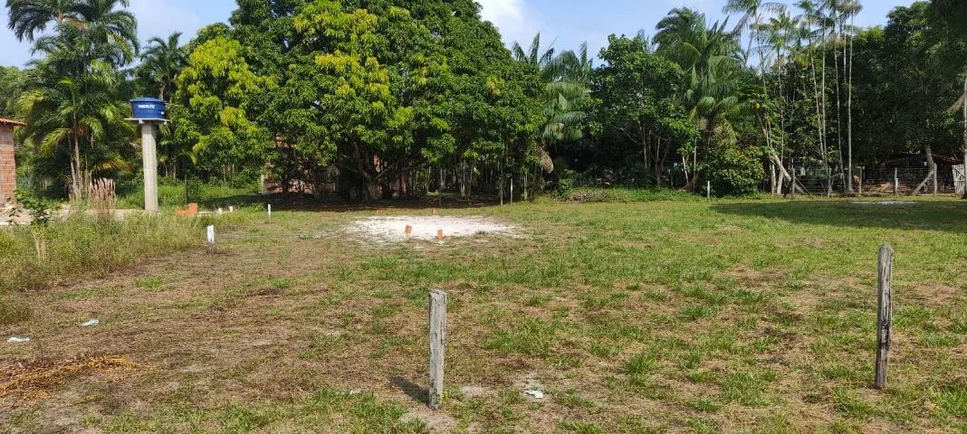 300 M2 (10m x 30m) - Foto 3
