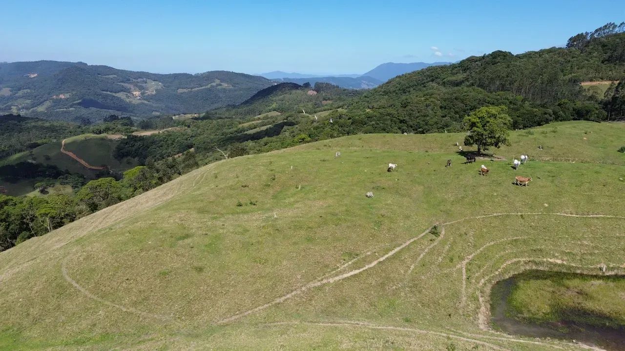 Sitio em São Pedro de Alcântara - SC - Foto 3