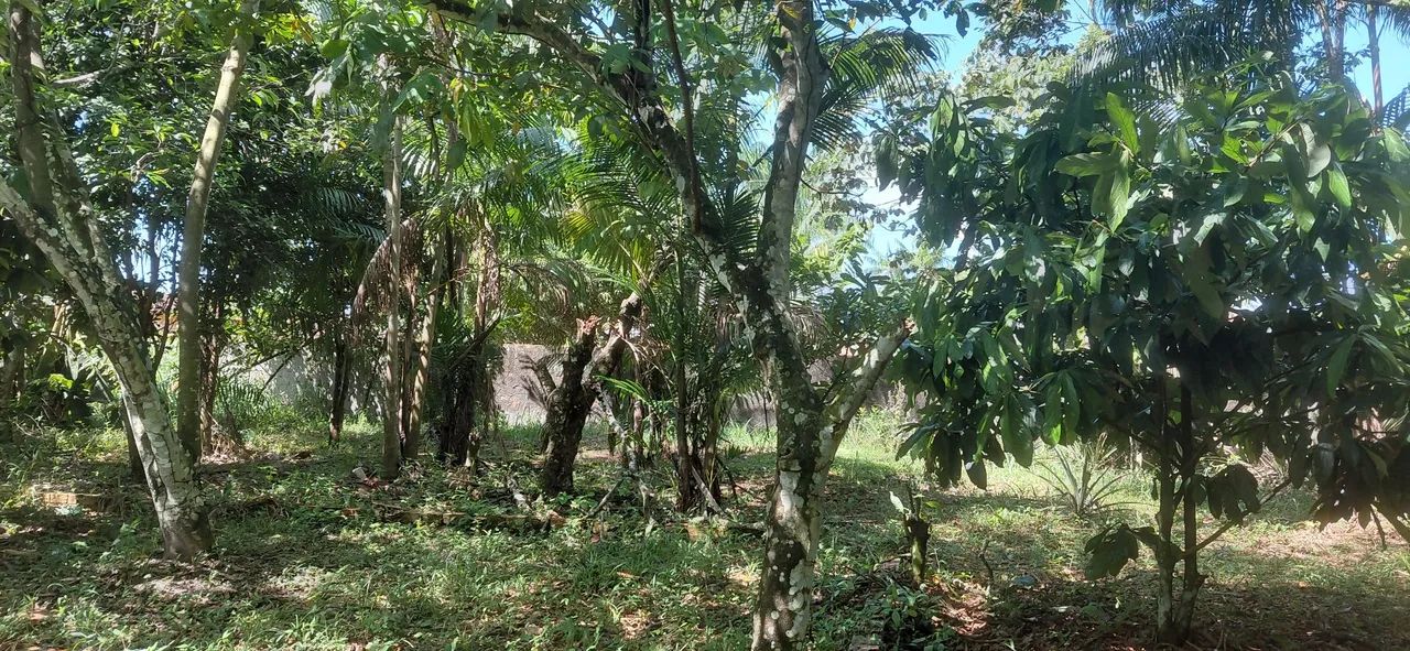 Vendo lotes 12×25 sta.izabel - Foto 2