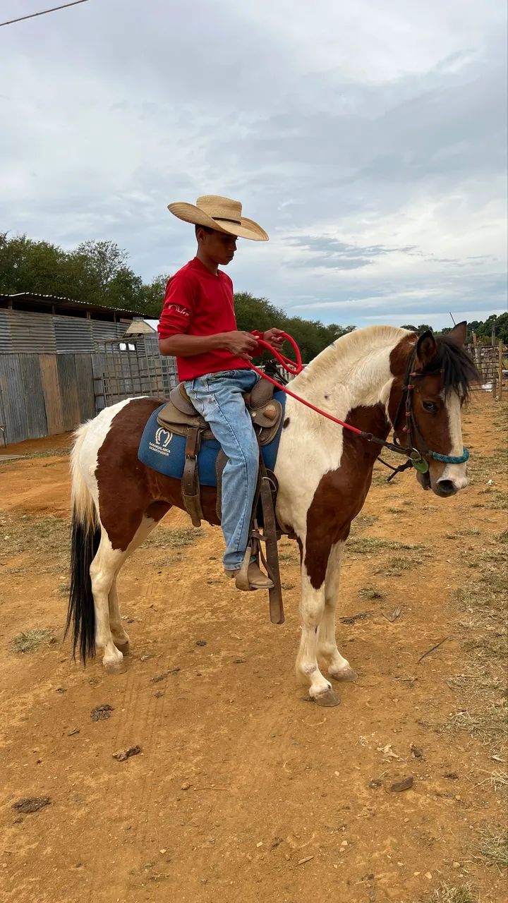 VENDE-SE égua piquira