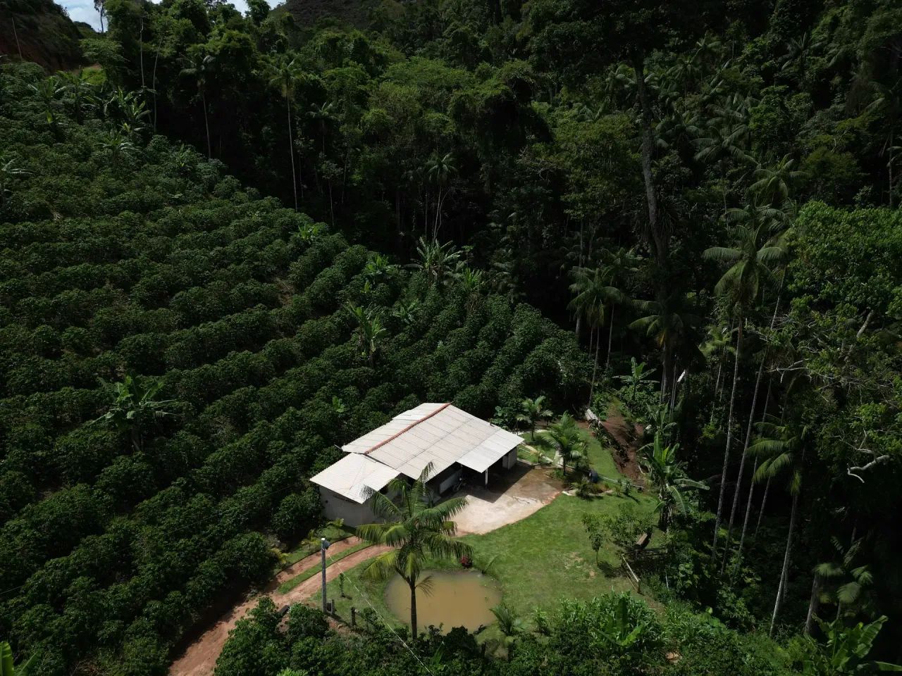 Sitio com mata e riacho