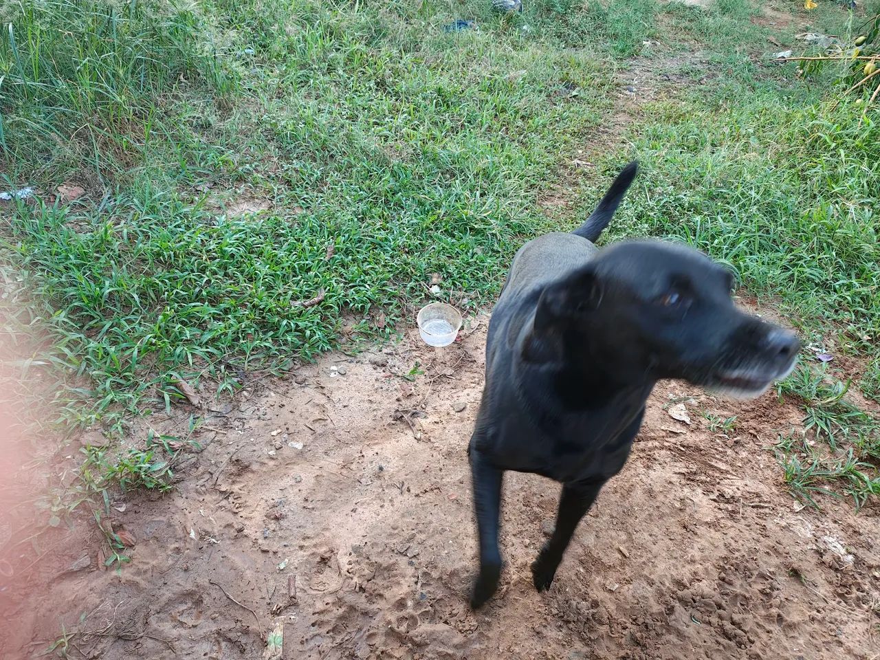 Pretão procura namorada  - Foto 4