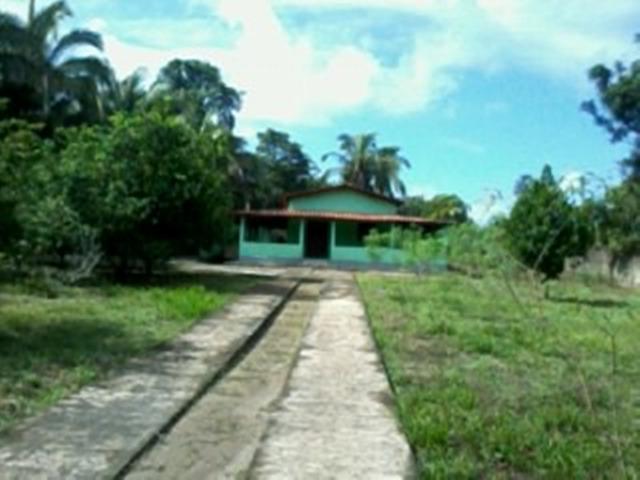 Sitio com area 36 x 300metros - Vila Esperança -Preço Promocional - Foto 11