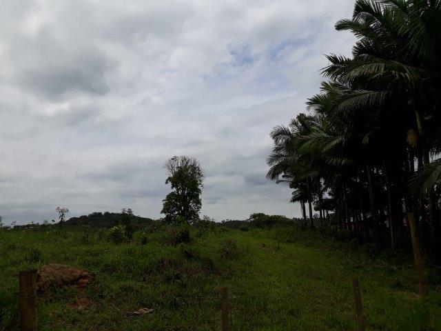 Chácara Em Araquari - Foto 3