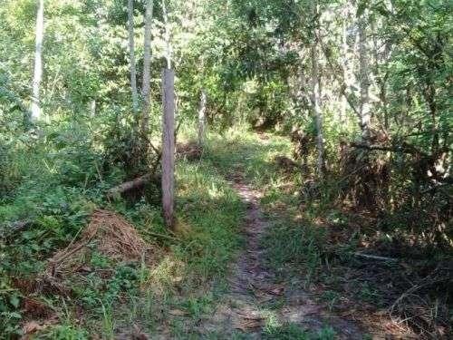 Barbada!!! Vendemos com exclusividade um Sítio/Terreno com 10,6 hectares - Foto 2