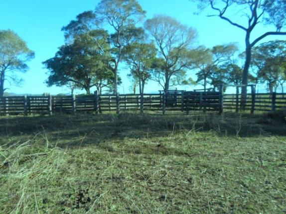 Fazenda na estrada parque de corumba ms - Foto 2