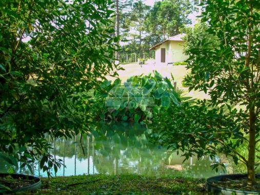 Chácara à venda em Capão alto, Lapa cod:141314 - Foto 10