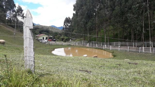 Perto de tudo - Foto 14
