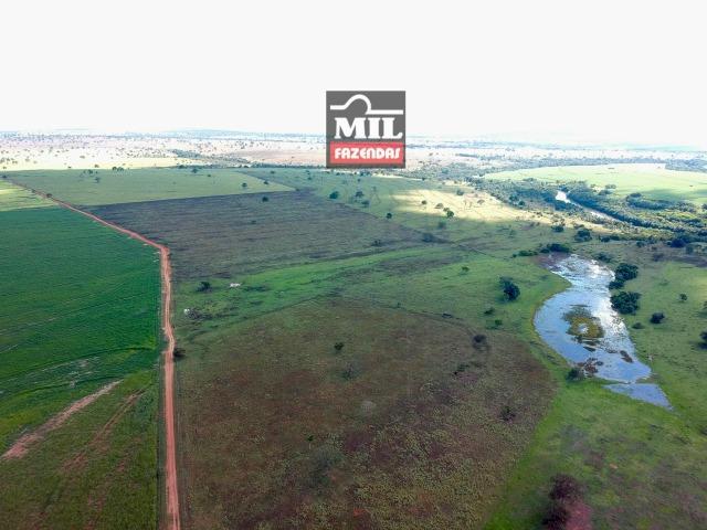 Fazenda Dupla Aptidão Sudoeste Goiano total 226 Alqueires ( 1.093 hectares ) Itajá-GO - Foto 9