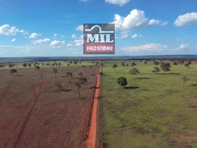 Fazenda Dupla Aptidão Sudoeste Goiano total 226 Alqueires ( 1.093 hectares ) Itajá-GO - Foto 7