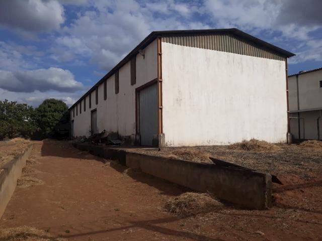 Galpão/depósito/armazém para alugar em Distrito industrial, Uberlândia cod:876388 - Foto 5