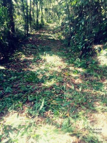 Terreno com 36.300 m² com registro de imóveis de frente para o asfalto - Foto 12