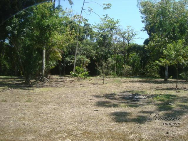 Òtimos terrenos para investimento em morretes - Foto 16