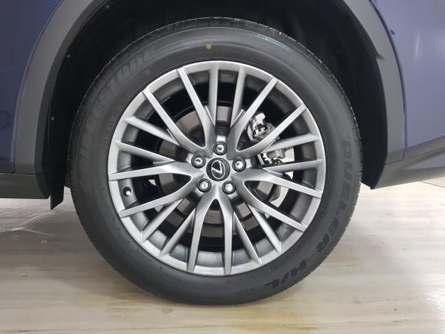 Lexus RX-350 F-Sport 3.5 24V Aut. - Azul - 2018 - Foto 16