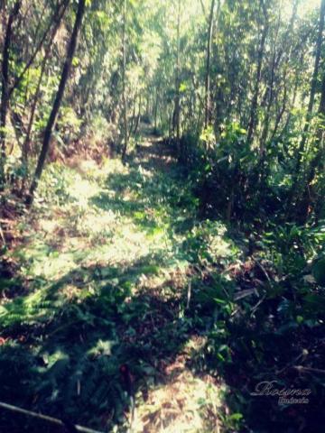 Terreno com 36.300 m² com registro de imóveis de frente para o asfalto - Foto 6