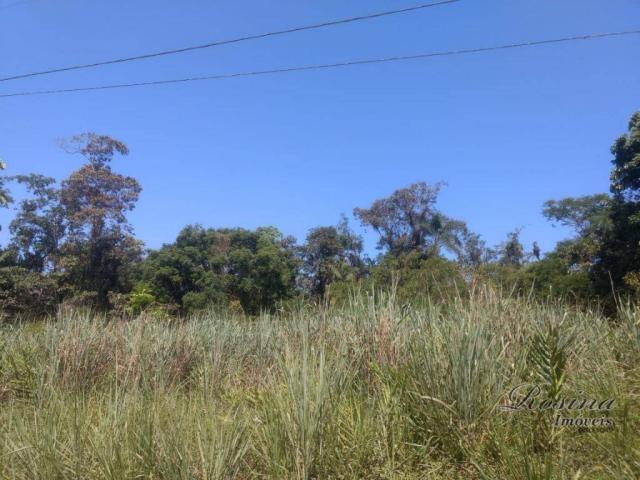 Terreno plano com 2,229 hectares próximo ao centro - Foto 11