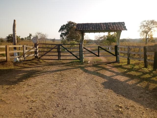 Fazenda 163 hectares, no chapel do sol, em Acorizal - Foto 2
