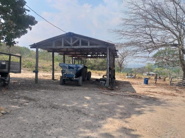 Vende-se fazenda em Cuiabá - Foto 7