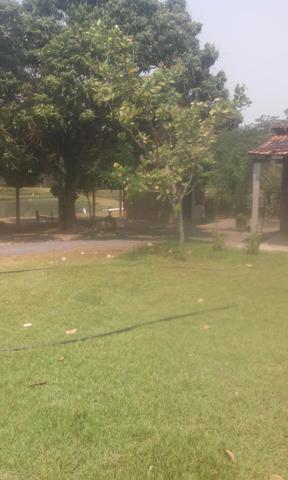 Vendo sítio nossa senhora da guia - Foto 10