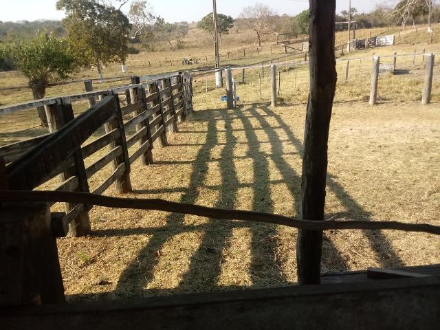 Fazenda 163 hectares, no chapel do sol, em Acorizal - Foto 3