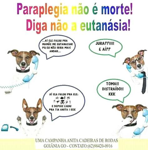 Cadeiras de rodas para cães e gatos e acessórios - Foto 4