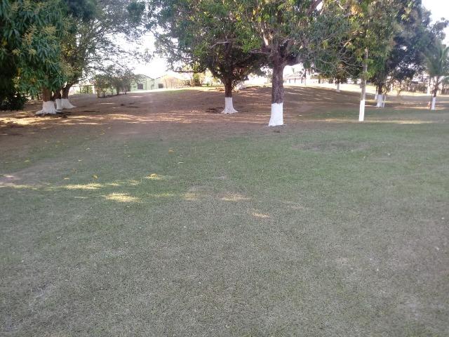 Fazenda 163 hectares, no chapel do sol, em Acorizal - Foto 10