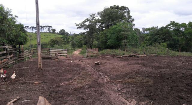 Fazenda 85 alqueres - Foto 8