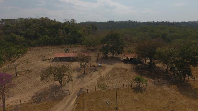 Vende-se fazenda em Cuiabá - Foto 13