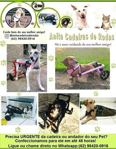 Cadeiras de rodas para cães e gatos e acessórios - Foto 2
