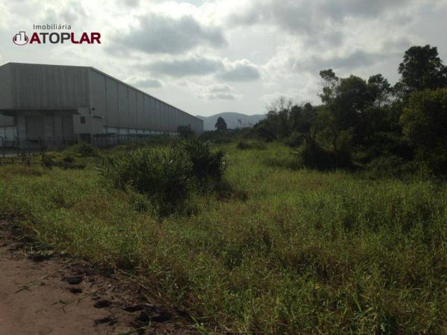 Terreno à venda, 300 m² por R$ 130.000,00 - São Domingos - Navegantes/SC - Foto 3