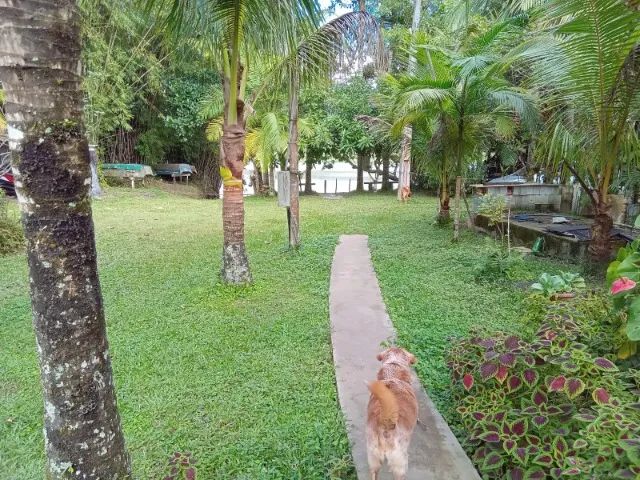 Rancho de Pesca/Rio Ribeira de Iguape/2 Casas/2400 m2/Fácil Acesso
