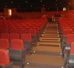 Carpete Forração Ecotex e Ecoloop - Foto 6